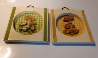2 Vintage Retro Mushroom Paper Collage Wall Hanging Picture Wooden Frame 4 " X 4 "