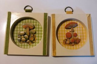2 Vintage Retro mushroom Paper Collage wall hanging picture wooden Frame 4 