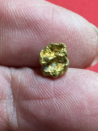 Natural Gold Nugget Specimen With Quartz Rock Bullion From Oregon 1.  02 Gram A68