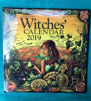 2019 Witches Wall Calendar,  Astrology & Zodiac By Llewellyn Publications Tarot