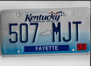 Kentucky Passenger 2013 License Plate " 507 Mjt " Fayette