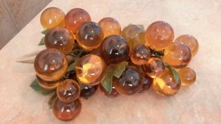 Grapes Lucite Table Decoration Amber Mid - Century Vintage 12 " Long