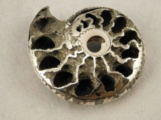 A Larger Polished 100 Natural PYRITIZED Ammonite Fossil From Russia 2.  9 e 5