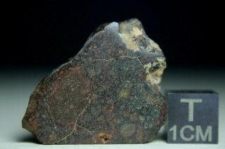 Nwa 10699 Ll (l) 3 Primitive Chondrite Meteorite 15.  1 Gram Part Cut Of Rare Type