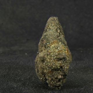 1.  7in (4.  2cm) incredible shine pyrite Ammonite Kosmoceras Callovian fossil Russia 7
