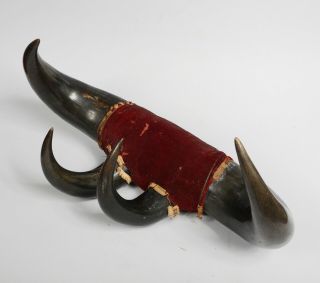 Antique Bison Buffalo Horn Coat Hat Rack