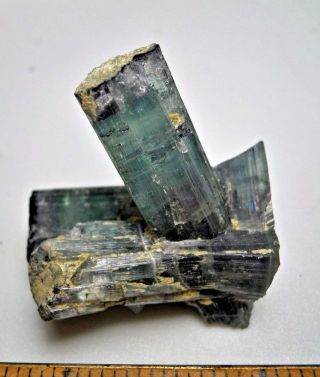 Blue / Green Tourmaline Crystal Cluster With Black Caps - Minas Gerias,  Brazil