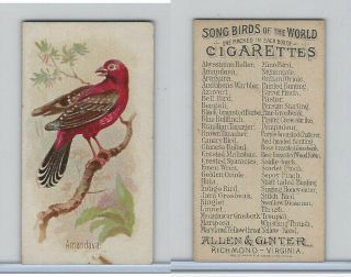 N23 Allen & Ginter,  Song Birds Of The World,  1890,  Amandava