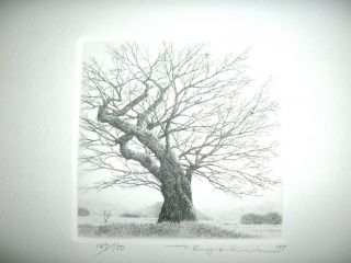 Tanaka Ryohei Etching An Old Tree No 2 1997