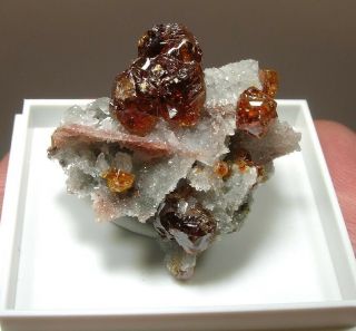 Gemmy Sphalerite & Quartz: Shuikoushan Mine,  Changning,  Hunan Prov. ,  China - Nr