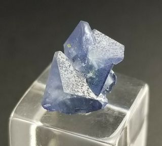 Benitoite Crystal From The Gem Mine - - Bpc 79 - - Multi Crystal Piece