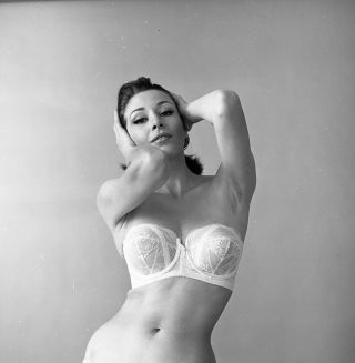 1960s Jack Anderson Negative,  Sexy Brunette Pin - Up Girl Elaine Reynolds,  N306209