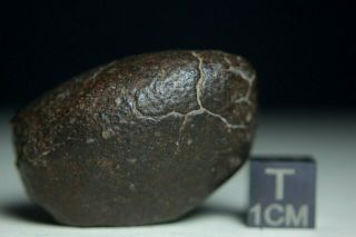 Nwa Unclassified Meteorite 40.  8 Gram Complete Individual With Shape