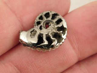 A Polished 100 Natural PYRITE Ammonite Fossil From Mikhaylov Mine Russia 5.  05 e 5