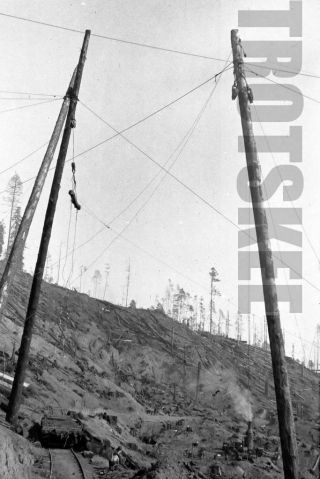 Larger Negative Usa Union Lumber Company Scene 10 Mile Creek Line 1920s