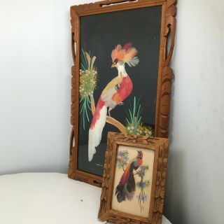 Two Vintage Mexican Folk Art Feather Craft Pictures