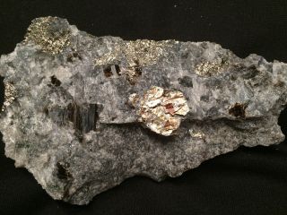 Kb: Phlogopite Xls.  W/ Pyrite From Franklin Quarry,  Franklin,  Jersey