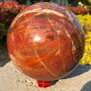3.  96lb Natural Petrified Wood Sphere Fossil Agate Quartz Crystal Ball Madagascar