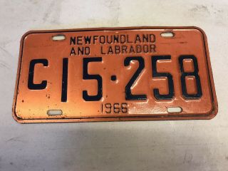 1966 Newfoundland Licence Plate