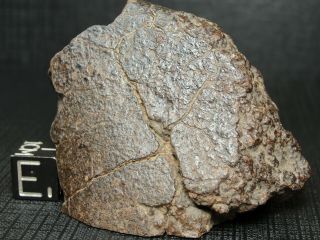 Meteorite - Sld - 2344 - 130.  0g - Meteorite Specimen - End Cut Or Slice