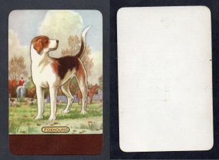 800.  1158 Vintage Coles Swap Card - Exc - Named Dog " Foxhound "