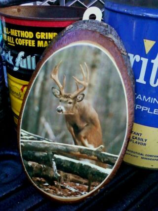 Vintage Old Forge,  N.  Y.  Adirondack Souvenir Timber Slice W/ Deer 8 "