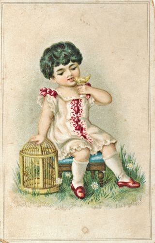Victorian Greeting Card Little Girl And Canary Embossed Signed On Back