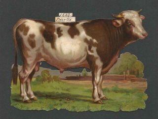 D08 - Prize Ox - Large Diecut Victorian Scrap - Alte Oblate - Glanzbild - Chromo
