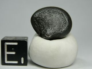 Meteorite - Sikhote - Alin - Iron - IIAB - SA - 1198 - 6.  91g - COA/Observed Fall 1947 2