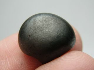 Meteorite - Sikhote - Alin - Iron - IIAB - SA - 1198 - 6.  91g - COA/Observed Fall 1947 7