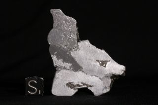 Agoudal Meteorite Etched Full Slice 38.  5 Grams