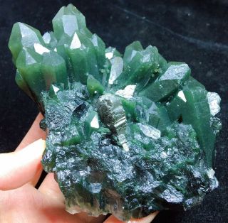 650g Natural Beauty Rare green Quartz Crystal Cluster Mineral Specimen wu107 5