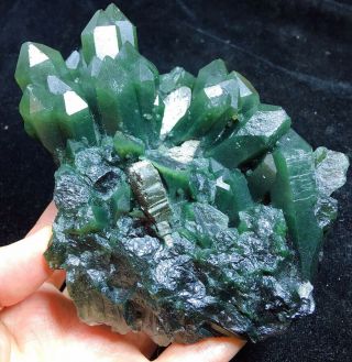 650g Natural Beauty Rare green Quartz Crystal Cluster Mineral Specimen wu107 8
