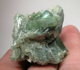 Beryl Var.  Emerald: Chivor Mine,  Mun.  Of Chivor,  Boyaca Dept. ,  Columbia - Nr