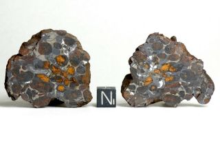 Meteorite Sericho - 2 Endcuts 97.  0g Mirror Polished Pair Pallasite