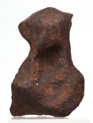 Mundrabilla Iron Meteorite Mineral Sculptural Specimen Australia Natural Patina