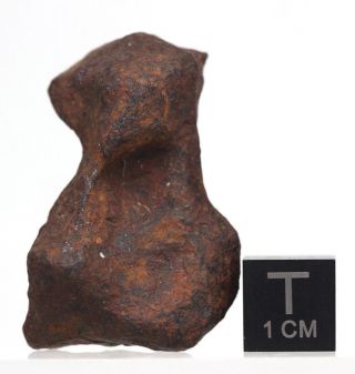 Mundrabilla Iron Meteorite Mineral Sculptural Specimen AUSTRALIA Natural Patina 2