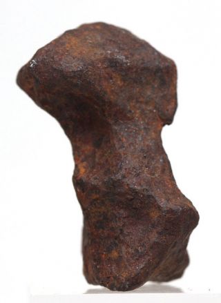 Mundrabilla Iron Meteorite Mineral Sculptural Specimen AUSTRALIA Natural Patina 4
