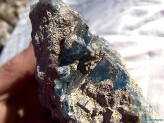 GLORY HOLE POCKET_Blanchard Mine_LARGE GEMMY Blue Fluorite_Bingham,  Mexico 3