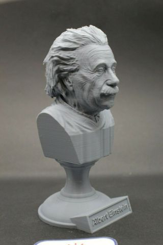 Albert Einstein 5 Inch Famous German Mathematician 3d Printed Bust Art