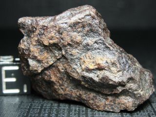 Nwa 5413 Official Meteorite H5 - S3 - W3 Chondrite - Lp - 0005 - 17.  82g W/coa - Indie