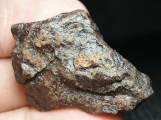 NWA 5413 Official Meteorite H5 - S3 - W3 Chondrite - LP - 0005 - 17.  82g w/COA - Indie 2