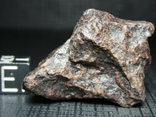 NWA 5413 Official Meteorite H5 - S3 - W3 Chondrite - LP - 0005 - 17.  82g w/COA - Indie 3
