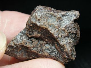 NWA 5413 Official Meteorite H5 - S3 - W3 Chondrite - LP - 0005 - 17.  82g w/COA - Indie 4