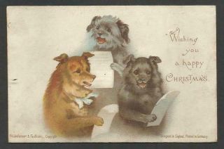 A25 - Anthro Singing Dogs From 
