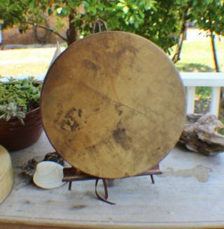 16 " Native American Buffalo Hide Hand Drum Cherokee Made William Lattie Cert Aut