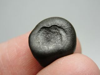 Meteorite - Sikhote - Alin - Iron - IIAB - SA - 1199 - 5.  20g - COA/Observed Fall 1947 3