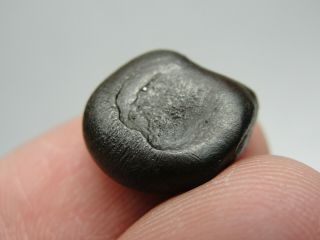 Meteorite - Sikhote - Alin - Iron - IIAB - SA - 1199 - 5.  20g - COA/Observed Fall 1947 4