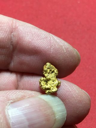 Natural Gold Nugget Specimen With Quartz Rock Bullion From Oregon 1.  10 Gram A57