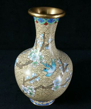 Vintage Chinese Cloisonne Vase W Bluebird Flowering Branches Gold 6.  25 " Fine